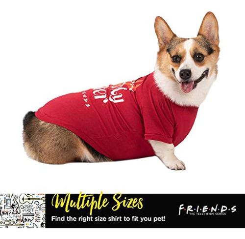 Friends The Tv Show Camiseta Con Texto En Inglés