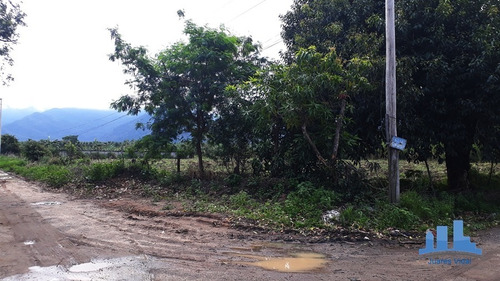 Imagem 8 de 10 de Lotes Com Excelente Localização E Totalmente Legalizados. - 317 - 34427774