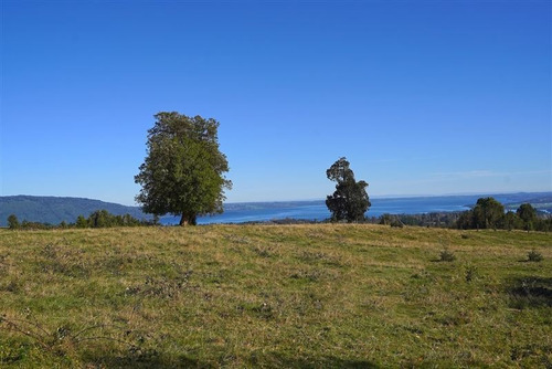 Imagen 12 de 17 de Parcela Vista Lago Rupanco Volcanes Preventa Oportunidad