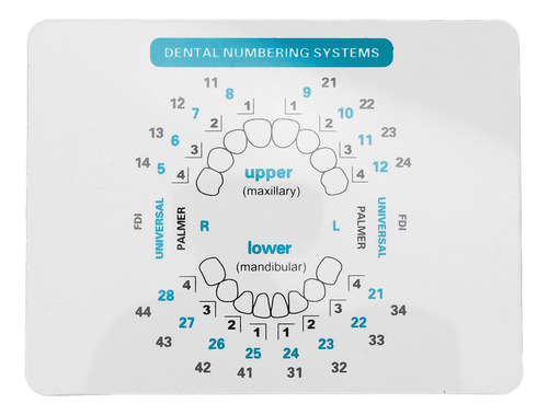 Para Juego De 32 Moldes Para Carillas Dentales, Diferentes