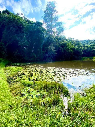 Imagem 2 de 7 de Terreno Urbano Em Condomínio Fechado Para Venda Com 366 M² | Barreiro | São Paulo Sp - Te63546v