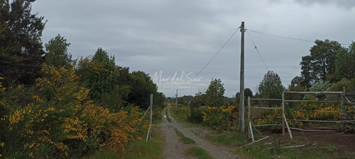Parcela De 5.000 Mts2 En Chepu Comuna De Ancud