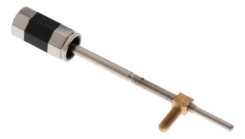 Peça De Instrumento Musical De De Sapo De De Contrabaixo