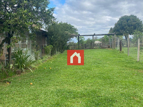 Imagem 5 de 19 de Chácara Com 3 Dormitórios À Venda, 21280 M² - Linha Sítio - Cruzeiro Do Sul/rs - Ch0020