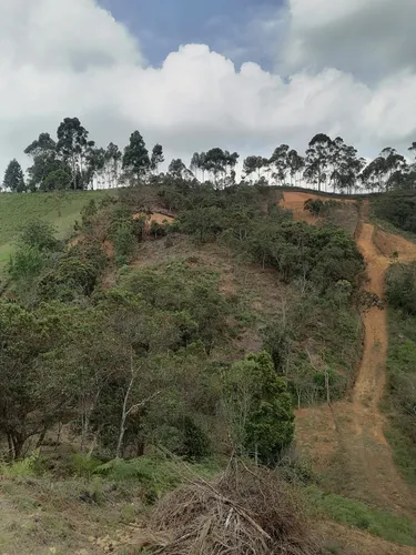Venta Lotes Rionegro