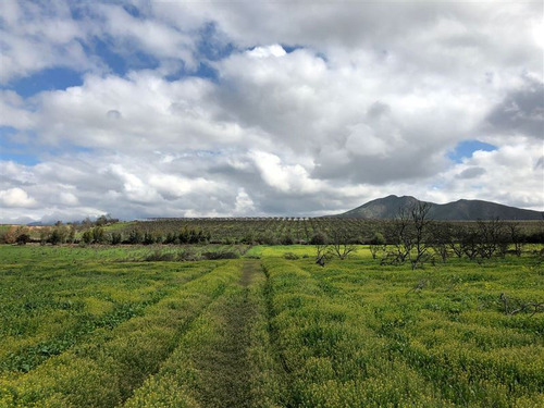 Venta Terreno Construcción En Ovalle