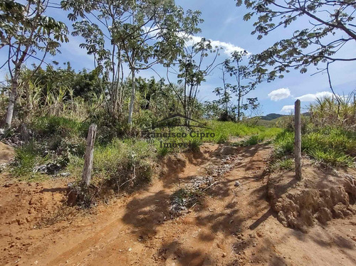 Imagem 19 de 19 de Terreno À Venda No Bairro Pilões - Guaratinguetá/sp - Tr010-1