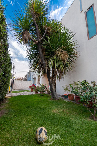 Casa Sebastián Del Piombo Id: 25087