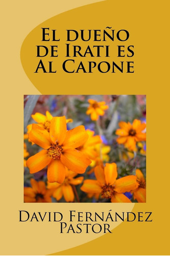 Libro: El Dueño De Irati Es Al Capone (spanish Edition)
