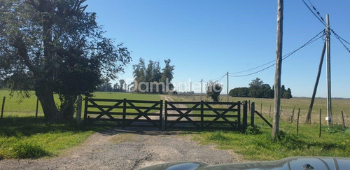 Imagen 13 de 28 de Terreno En Venta O Permuta Ubicado En General Rodríguez, General Rodríguez