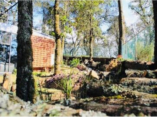 Imagen 10 de 12 de Terreno En Venta Mineral Del Monte Centro