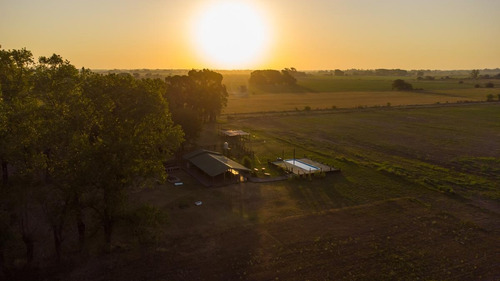 Imagen 1 de 30 de Oportunidad De Chacra Más Campo -18ha - En Virrey Del Pino