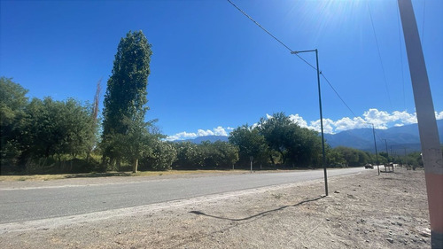 Venta Quinta Con Estanque Propio