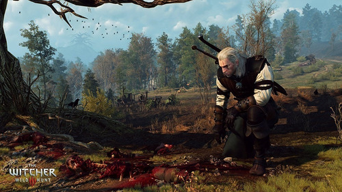 The Witcher 3 Wild Hunt Goty Ps4 Usado (Usado)