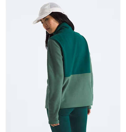 Buzo Deportivo Polar Glacier The North Face Mujer