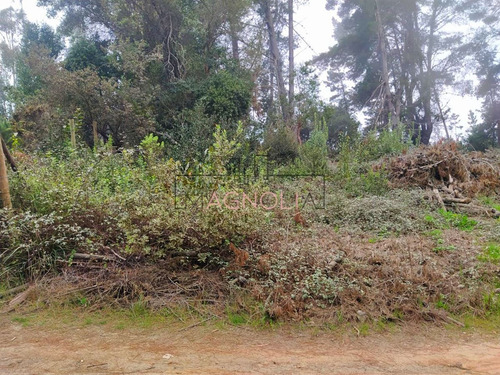Sitio En Venta De 1500 M2 Camino A Puertecillo, Navidad