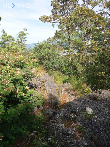Imagen 2 de 7 de Terreno En Venta Barrio De San Nicolás, San Cristóbal De Las Casas, Chiapas