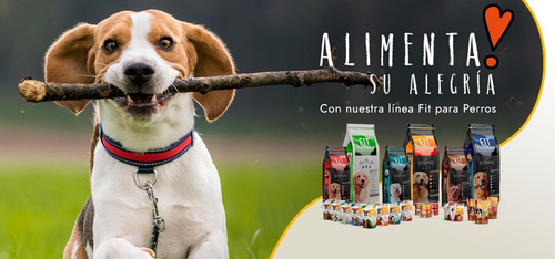 Alimento Fit Formula Premium Adult Dog para perro adulto de raza mini, pequeña, mediana y grande sabor mix en bolsa de 20kg