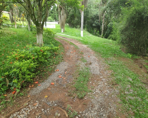Imagem 15 de 15 de Chácara À Venda No Chácara São Francisco - Ribeirão - Pilar Do Sul/sp - Ch00725 - 69284477