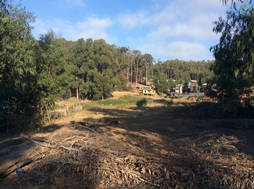 Terreno De 7.428 Mt A 200 Mt De Bajada Playa Caucau, Horcon