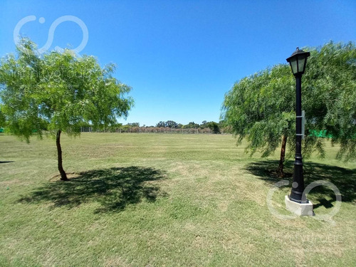 Imagen 2 de 22 de Terreno - San Ramiro