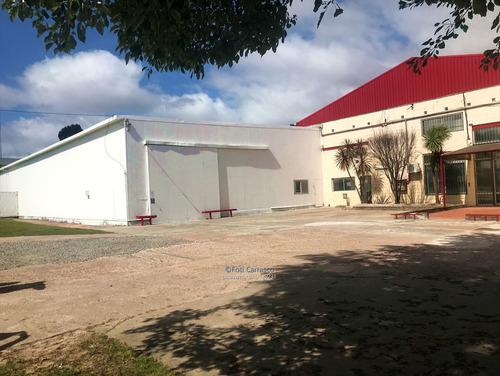 Imagen 1 de 8 de Local Industrial Depósito Logístico Disponible Flor Maroñas