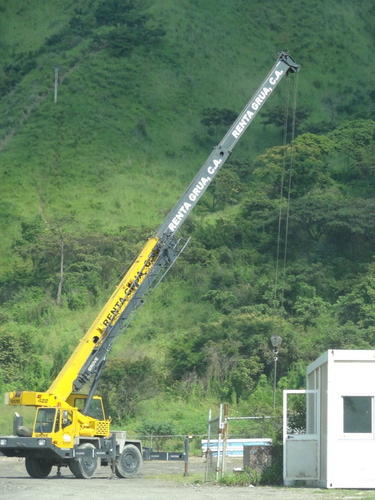 Imagen 4 de 10 de Alquiler De Gruas Telescopicas Valencia Edo. Carabobo