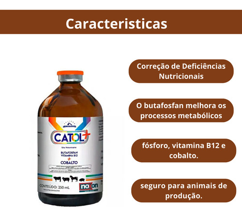 5 Uni Catol+ Vitamina B12 250ml - Noxon