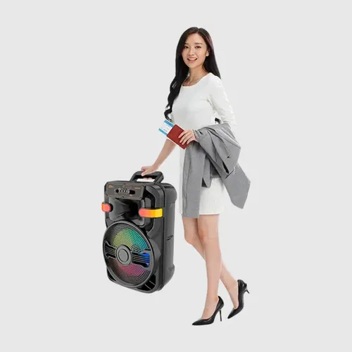 Altavoz Multicolor Portátil Con Micrófono Inalámbrico