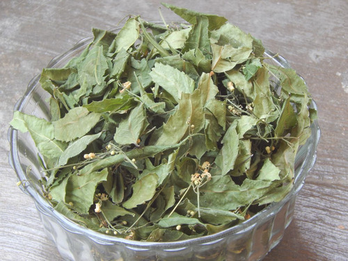 Hoja De Neem Deshidratada 1kg Azadirachta Indica