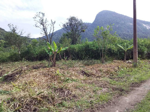 Imagem 2 de 5 de Terreno Na Praia Em Mongaguá Área De Chácara Ref.468