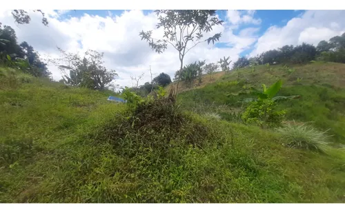 Se Vende Finca Vda La Julia Montenegro Quindío