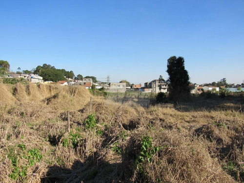 Imagem 15 de 26 de Terreno À Venda, 14900 M² Por R$ 9.000.000,00 - Jardim São João (zona Norte) - São Paulo/sp - Te0138
