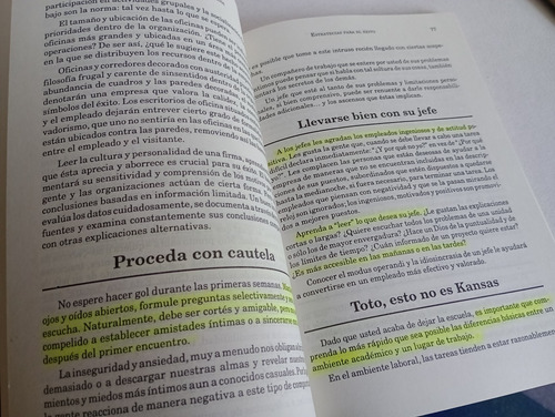 Del Campus A La Empresa Stephen Strasser (Usado)