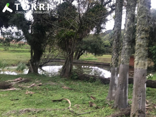 Imagem 26 de 30 de Lindo Haras Completo A Venda Em Piedade/sp - 1254 - 33115306