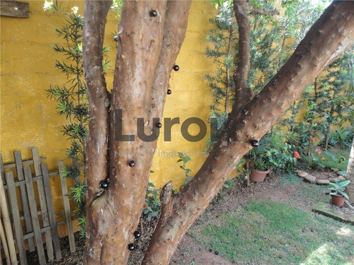 Imagem 26 de 29 de Casa À Venda Em Parque Nova Suíça - Ca001237