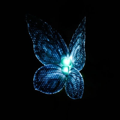 Tinkerbell Animators Edición Especial 2018