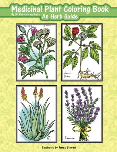 Libro De Colorear De Plantas Medicinales Una Guia De Hierbas