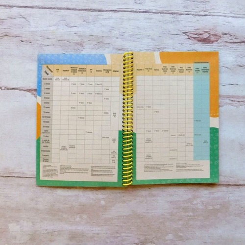 Agendas Control Embarazo Y Pediátrico - Futura Mamá - Bebés