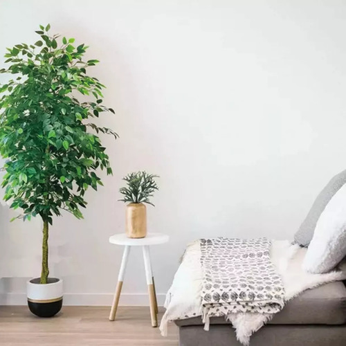 Hi, 24 Folhas, Galhos, Folhagem Artificial De Ficus Verde E