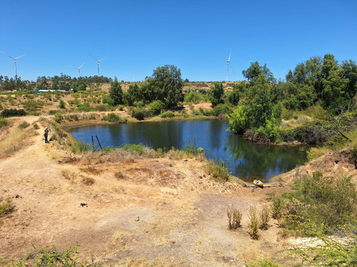 Se Vende Campo En Litueche Con 5 Tranques Y 2 Vertientes