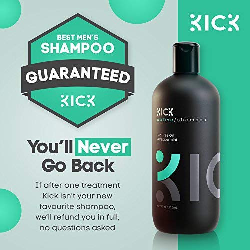 Shampoo Kick Sem Sulfato Com Hortelã E Melaleuca 500ml