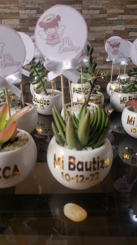 Imagen 5 de 10 de Regalos, Plantas Cactus Suculentas, Matrimonios Bautizo Misa