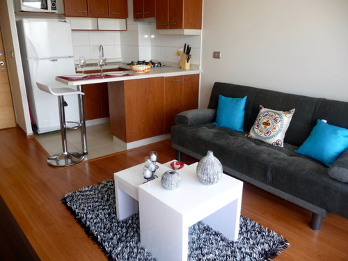 Departamento Amoblado En Arriendo Román Diaz, Providencia