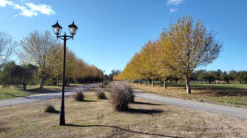 Terreno En Barrio Privado Ezeiza- Canning