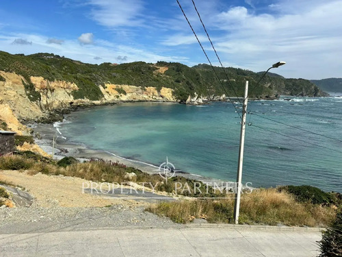 Oportunidad De Inversión, Campo Con 1.700 M De Ori...