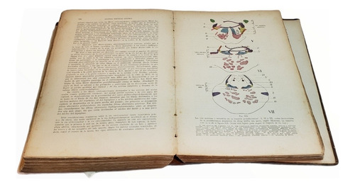 Antiguo Libro De Anatomía Humana Testut-latarjet Tomo 2 (Usado)