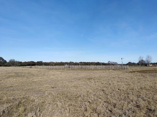 Imagen 19 de 24 de Venta Campo Ganadero Vera Y Pintado Ganadero 462 Ha ($1300)