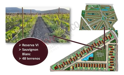 Preventa Casa En Venta La Santa Vid (viñedo) A 10 Minutos Del Centro De San Miguel De Allende