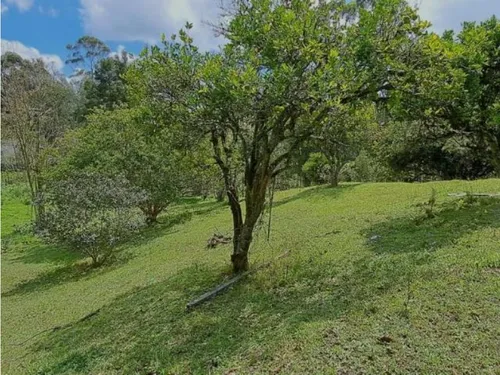 Finca Independiente En Rionegro(mls#242540)